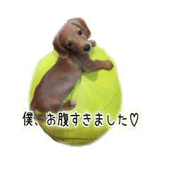 [LINEスタンプ] 小太郎くんスタンプ
