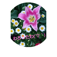 [LINEスタンプ] 花香る広島弁