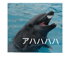 [LINEスタンプ] 動物たちが反応するスタンプ