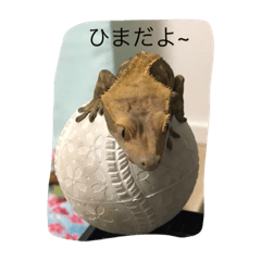 [LINEスタンプ] 私の家族達
