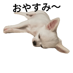 [LINEスタンプ] くぅ～