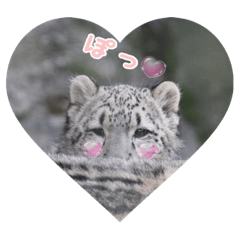 [LINEスタンプ] ミミフクスタンプ 第2弾チビフク編