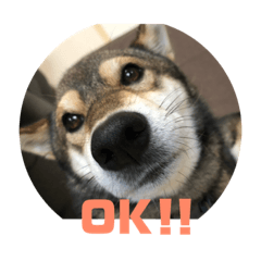 [LINEスタンプ] Q