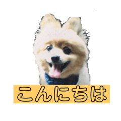 [LINEスタンプ] ペロのスタンプ！