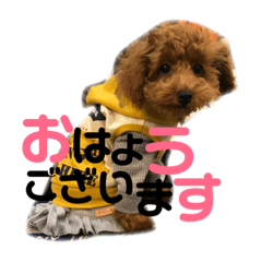 [LINEスタンプ] ぽこぺこ