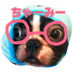 [LINEスタンプ] パトリック2