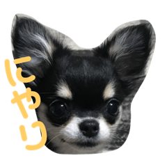 [LINEスタンプ] あすなきりと