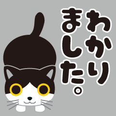 [LINEスタンプ] ハチワレ猫のチロちゃん