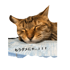 [LINEスタンプ] ねこ○＆にゃん○(ФωФ)