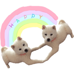 [LINEスタンプ] タムラ家の動物たち