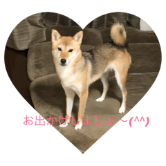 [LINEスタンプ] きなもなモデルスタンプ‼︎