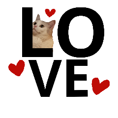 [LINEスタンプ] いちいちミルちゃん(日常編)