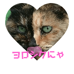 [LINEスタンプ] 吾輩はサビ猫である。名前はキメラ