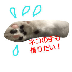 [LINEスタンプ] ダックスその他の愉快な仲間たちの日常5