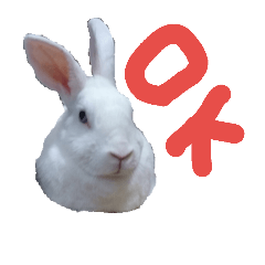 [LINEスタンプ] ウサギのピーちゃん