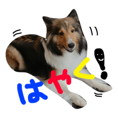 [LINEスタンプ] きなこの日常♡