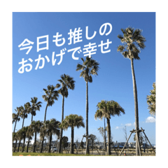 [LINEスタンプ] 推しのために生きる         〜絶景ver〜