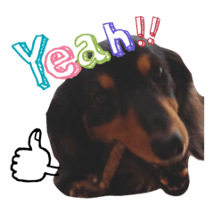 [LINEスタンプ] ダックスのウィッシュボーン 2