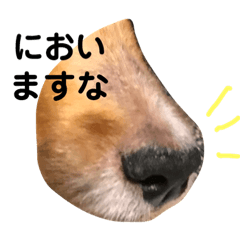 [LINEスタンプ] シェルティらすくさん③