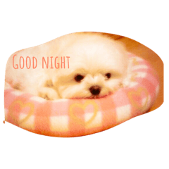 [LINEスタンプ] ちろろこ