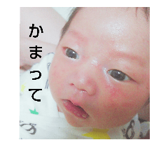 [LINEスタンプ] ぜんくん♡