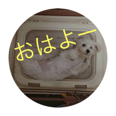[LINEスタンプ] タロとシロ#3