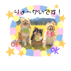 [LINEスタンプ] サスケ＊まつり＊れもんの日常スタンプ
