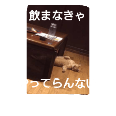 [LINEスタンプ] マイケル子の日常