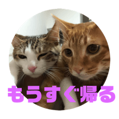 [LINEスタンプ] レオヨナくん③