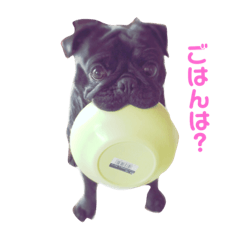 [LINEスタンプ] 黒パグちゃんスタンプ