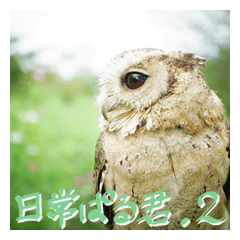 [LINEスタンプ] 日常ぱる君～第2弾