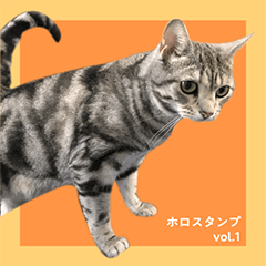 [LINEスタンプ] ホロスタンプ vol.1