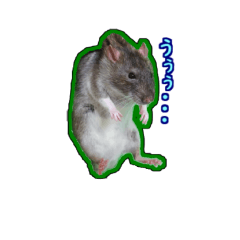 [LINEスタンプ] ラットさんのスタンプパート2