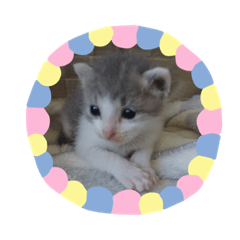 [LINEスタンプ] ゆるっときな子