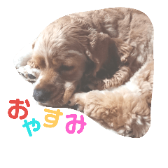 [LINEスタンプ] アメコカりろ②