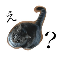 [LINEスタンプ] 猫のぽむです 2