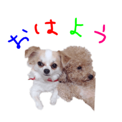 [LINEスタンプ] アクアとマリンのスタンプ