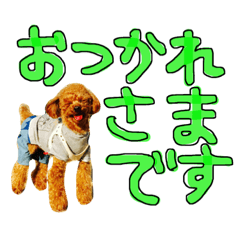 [LINEスタンプ] 大福のよく使うスタンプ