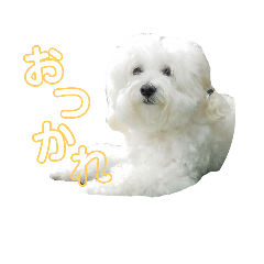 [LINEスタンプ] まるぷーななさん。