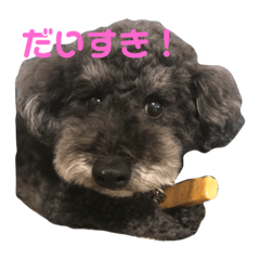 [LINEスタンプ] トールのきもち