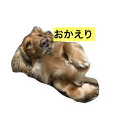 [LINEスタンプ] むてぃおくん