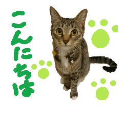 [LINEスタンプ] なななちゃん3