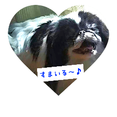 [LINEスタンプ] ぽぽちゃんスタンプ～♪