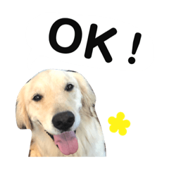 [LINEスタンプ] かわいいももちゃんスタンプ2