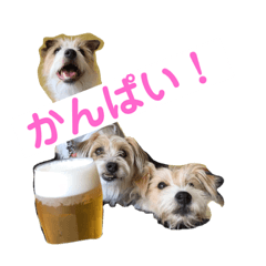 [LINEスタンプ] ジャックラッセルテリアの"ポキ76"続編