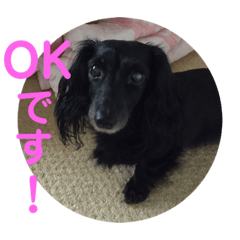 [LINEスタンプ] 愛犬ブラックタン 2