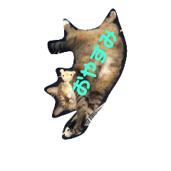 [LINEスタンプ] ぐーたらソウタ