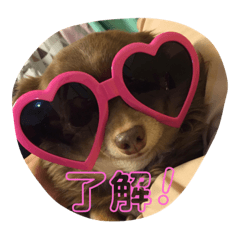[LINEスタンプ] 秋男とmomonaのスタンプ2