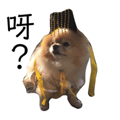 [LINEスタンプ] 犬の日常（中国へいか）