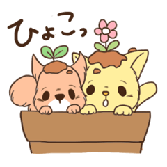 [LINEスタンプ] じょんジョンのねことリス